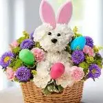 Easter Bunny