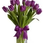 Purple Tulip Vase