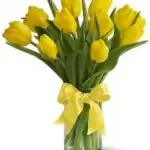 Yellow Tulip Vase