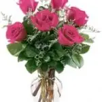 Roses Hot Pink 6