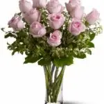Roses Light Pink 12