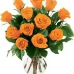Roses Orange 12