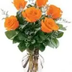 Roses Orange 6