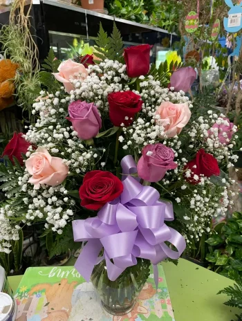 Roses Pink, Purple, Red 12