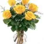 Roses Yellow 6