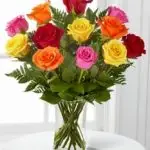 VD Multi Colored Roses 12