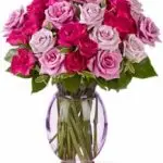 VD Pink & Hot Pink Roses 12