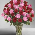 VD Red & Pink Roses 24