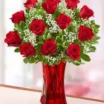 VD Red Roses 12