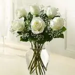 VD White Roses 6